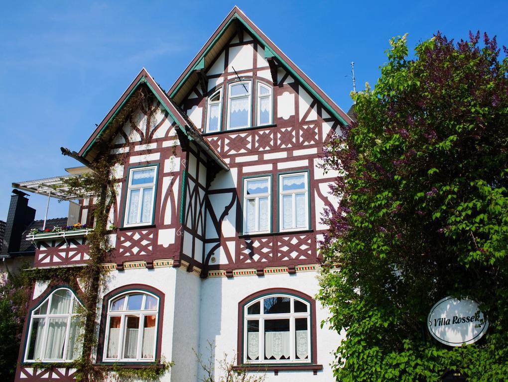 Hotel Villa Rossek باد ليبنستين المظهر الخارجي الصورة